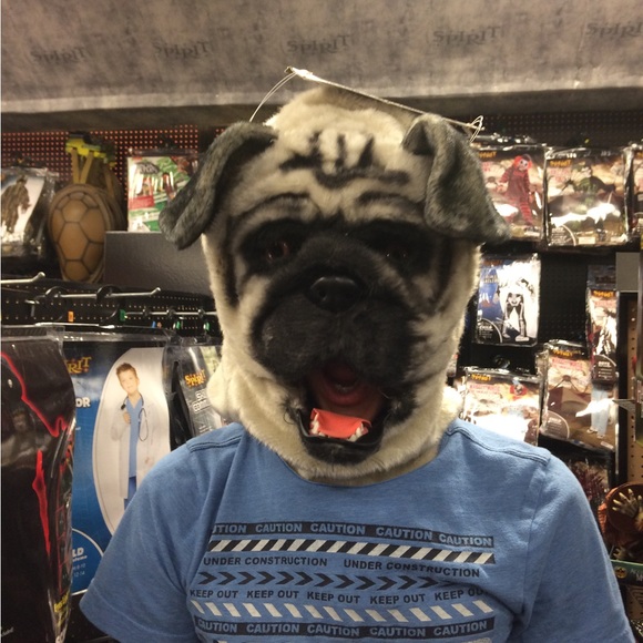 Meet your Posher, Gina - Picture 6 of 6